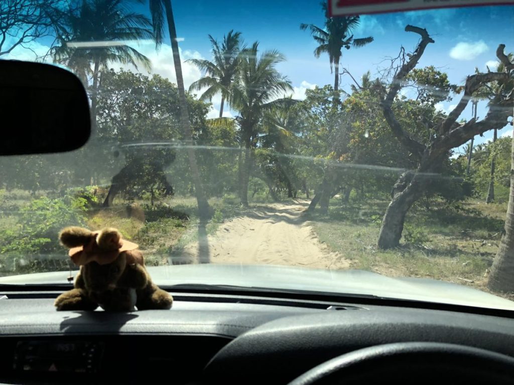 Driving in Mozambique