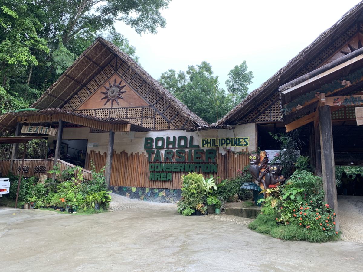 Driving to the Chocolate Hills