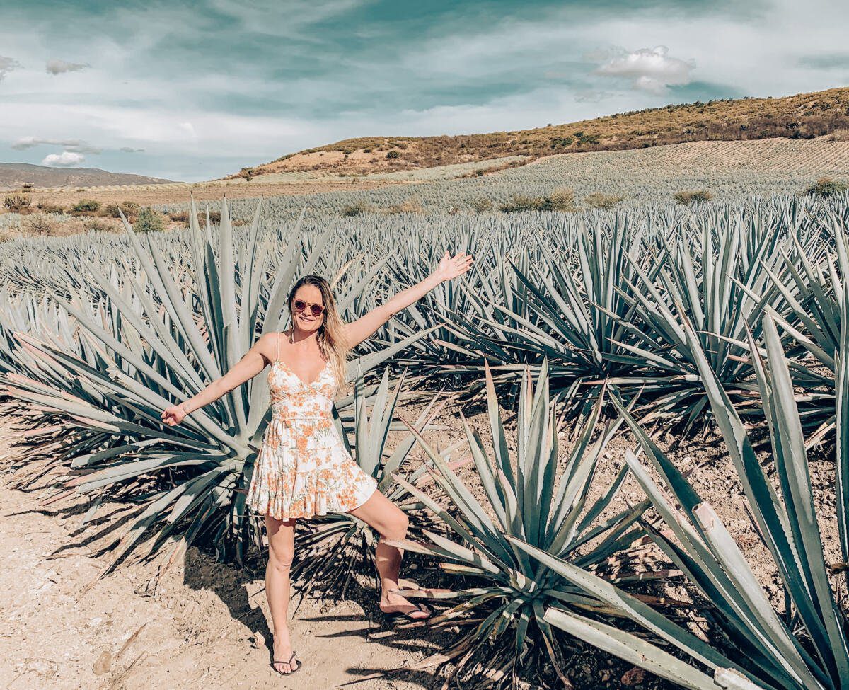 Mezcal tour in oaxaca mexico